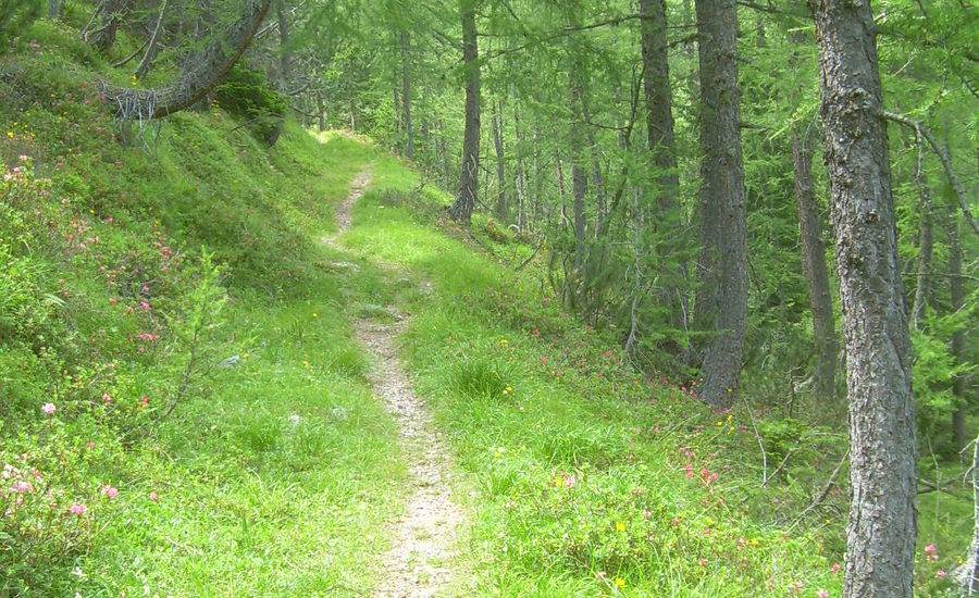 Escursioni a piedi semplici e sicure